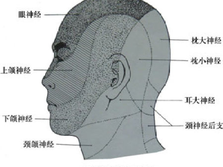 面肌痉挛的诊断标准的具体分析
