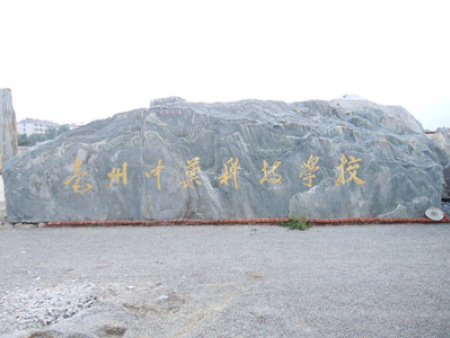 安徽亳州泰山奇石形象案例