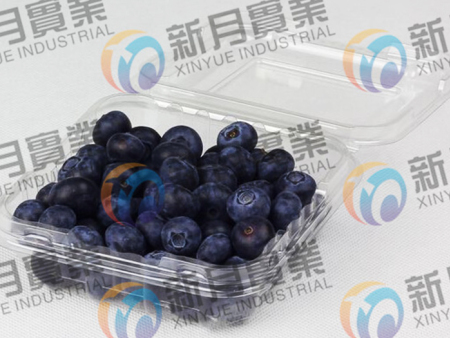 藍莓保鮮盒