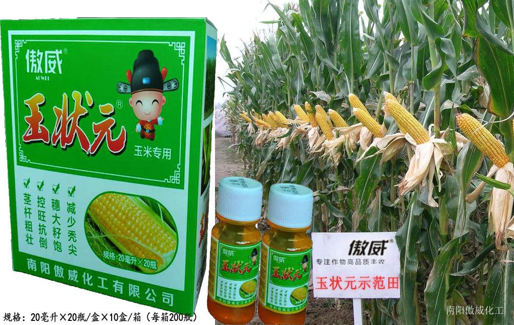 玉狀元——玉米控旺增產專用