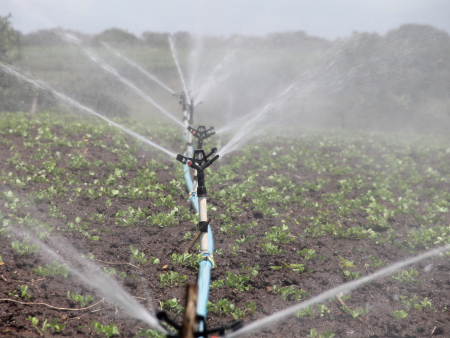 马龙县投资6800余万元在月望乡下营片区打造高效节水灌溉项目