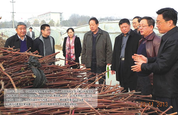 2013年11月22日視察指導青州設施農