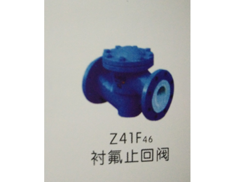 Z41F46 衬氟止回阀.jpg