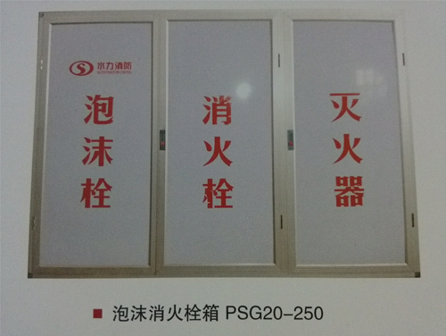 1泡沫消火栓箱 PSG20-250.jpg