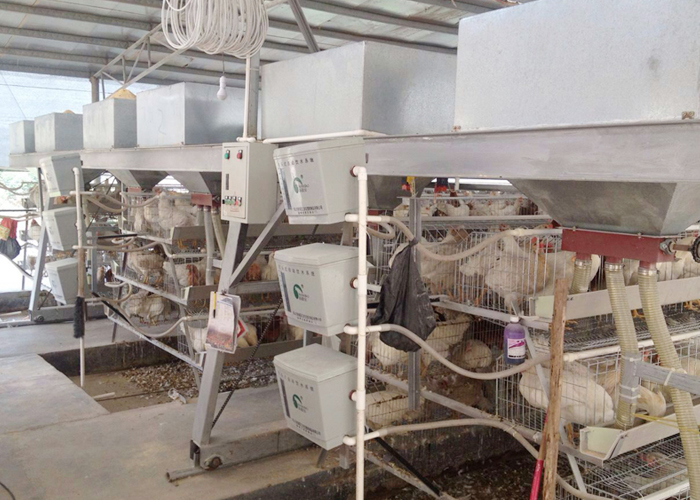 養雞場設備|養殖自動化設備-高要市南岸粵廣自動化養殖設備有限公司