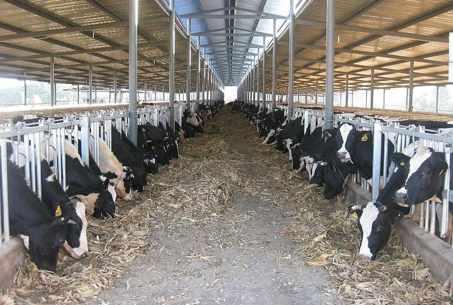 奶牛温湿度监控系统
