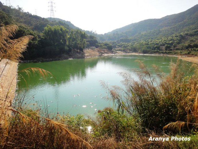 原生态休闲观光基地|原生态休闲观光-厦门雷公山农业休闲山庄有限公司