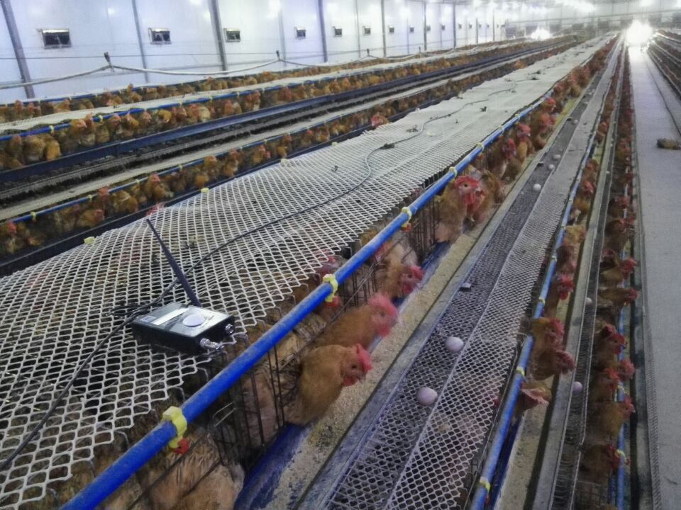 家禽养殖监控系统