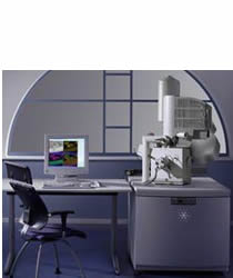 场发射环境扫描电子显微镜
