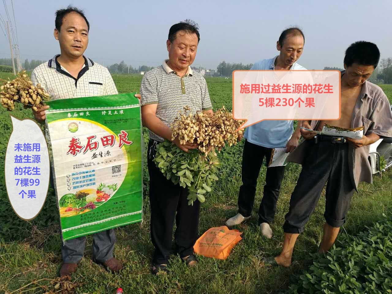 花生開(kāi)花多結(jié)果多病害少